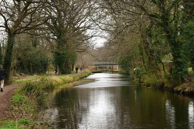 Basingstoke Canal - Image 2
