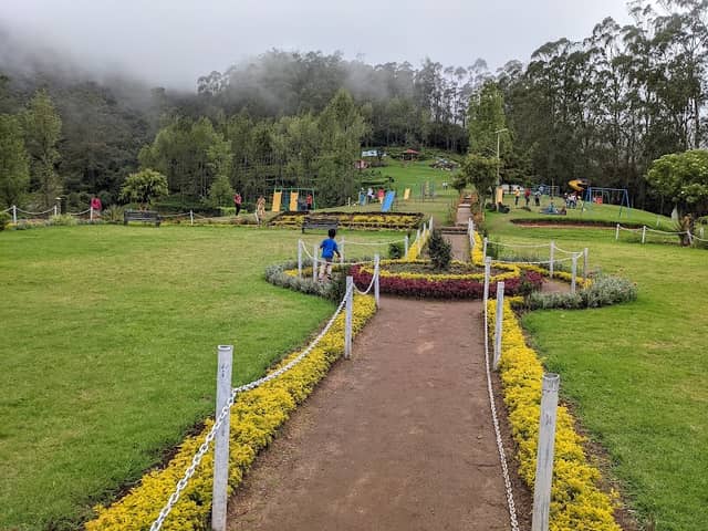 Tea Park - Image 1