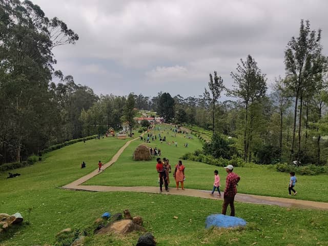 Tea Park - Image 3