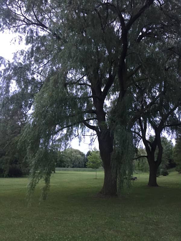 Ada MacKenzie Park - Image 2
