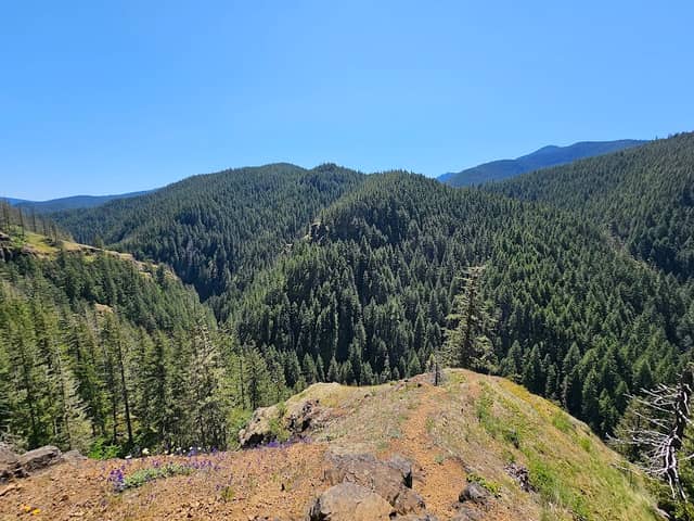 Salmon-Huckleberry Wilderness - Image 2