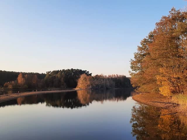 Stauwurzel des Rothsees - Image 1