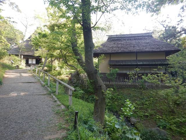 Rindoan - Image 2