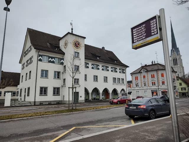 Amriswiler Muni - Image 1