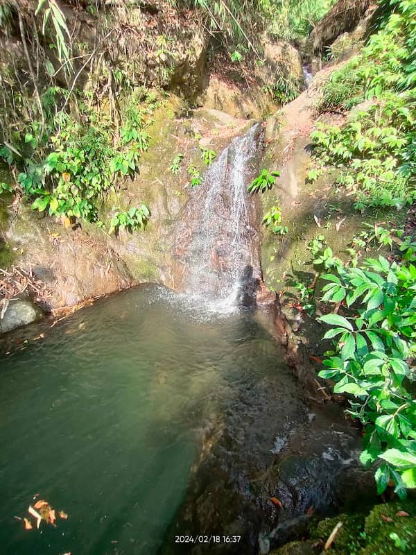Lasung nature pools - Image 1