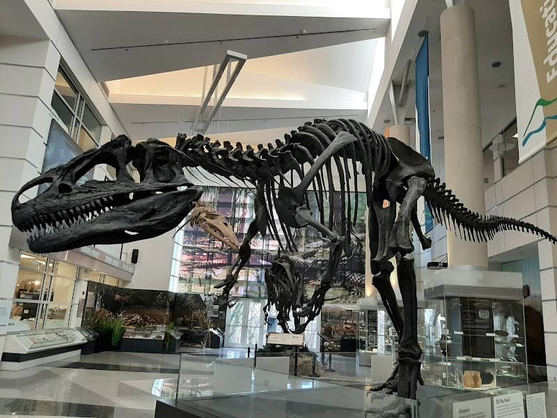 Virginia Museum of Natural History - Image 1