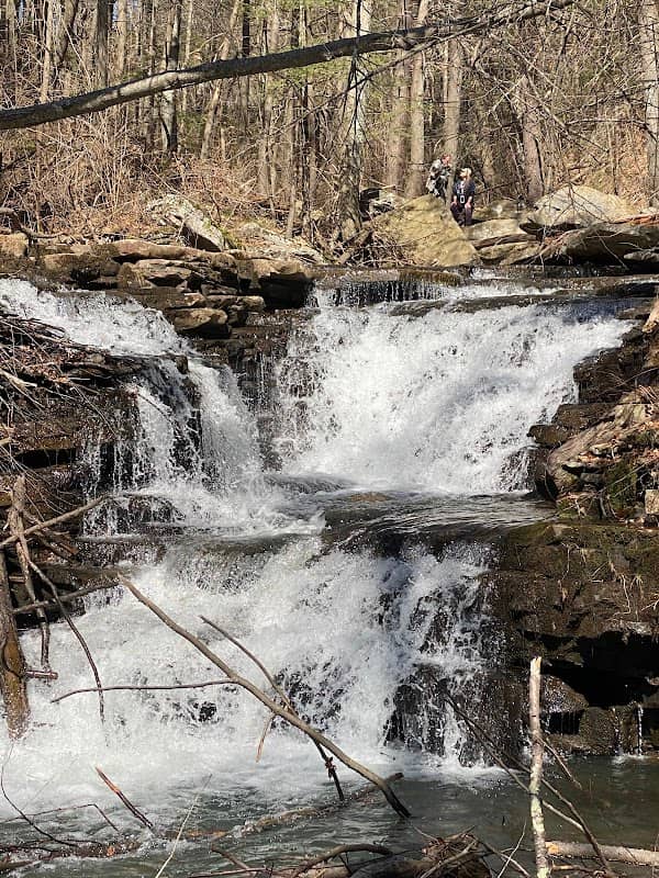 Jarrett Falls - Image 1