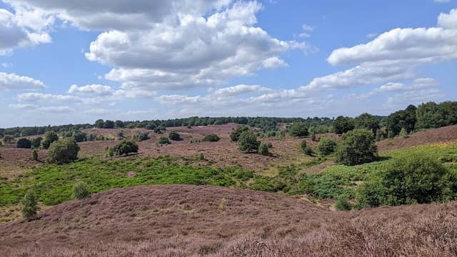 Herikhuizerveld - Image 1