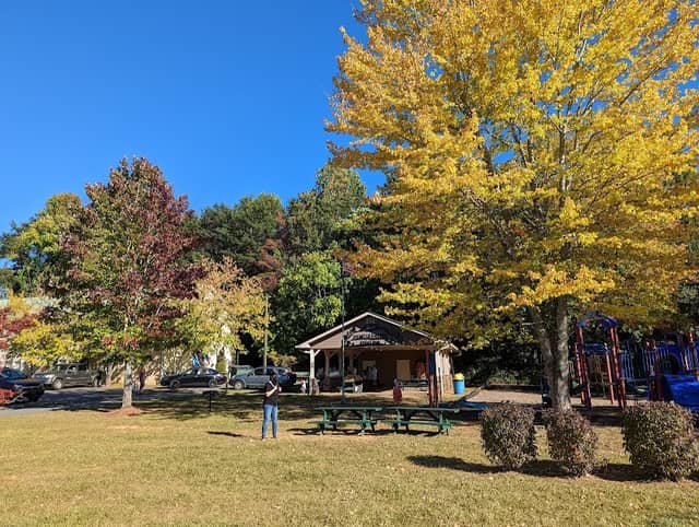 Cleveland Woodmen Of The World City Park - Image 2