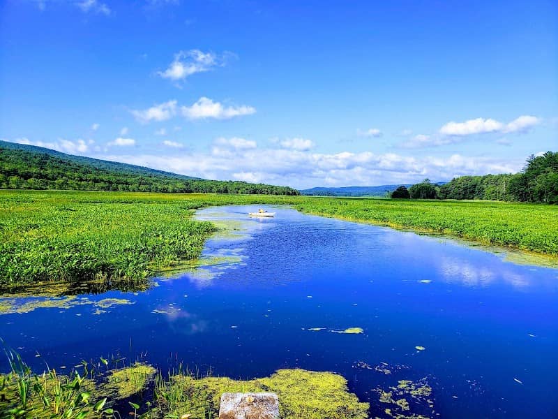 Bashakill Wildlife Management Area - Image 2