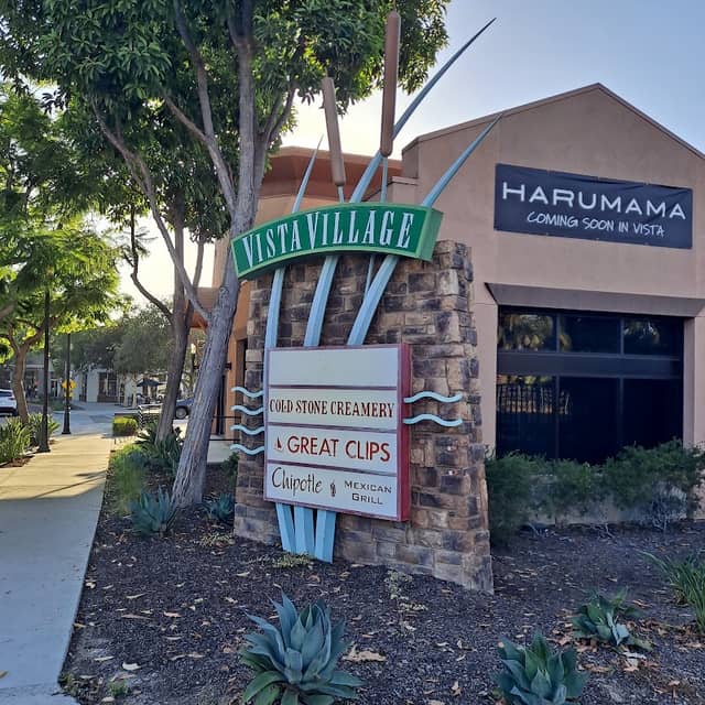 Downtown Vista - Image 2