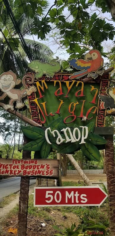 Bodden Tours: Mayan Jungle Canopy Zipline | Victor's Monkey & Sloth Sanctuary - Image 2