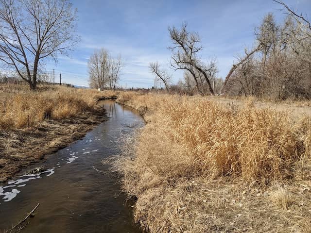 Piney Creek Hollow Park - Image 2