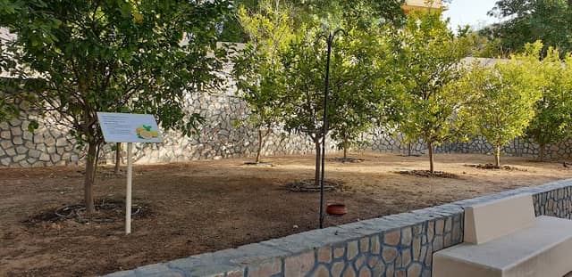 The Oasis | Arabian Ranches - Image 2