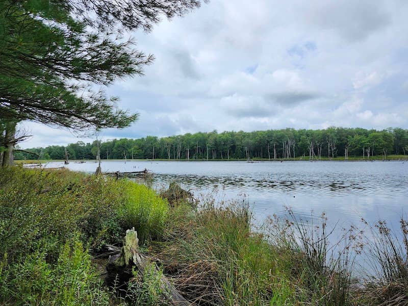 Beaver Run Pond Wildlife Viewing Area Parking - Image 2