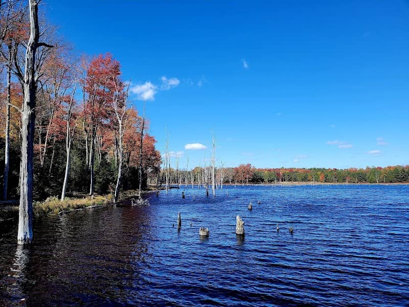 Beaver Run Pond Wildlife Viewing Area Parking - Image 1