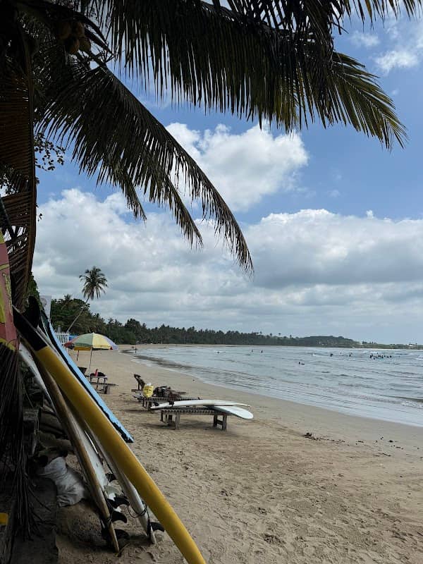 Nickwella surf bar food & drinks - Image 1