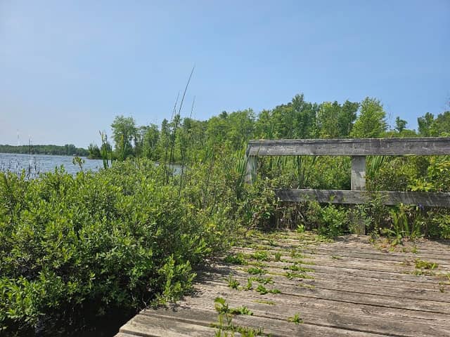 Public access Carson beach - Image 1