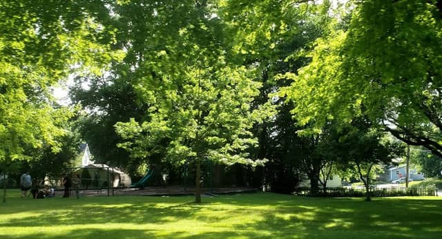 Dement Park - Image 2