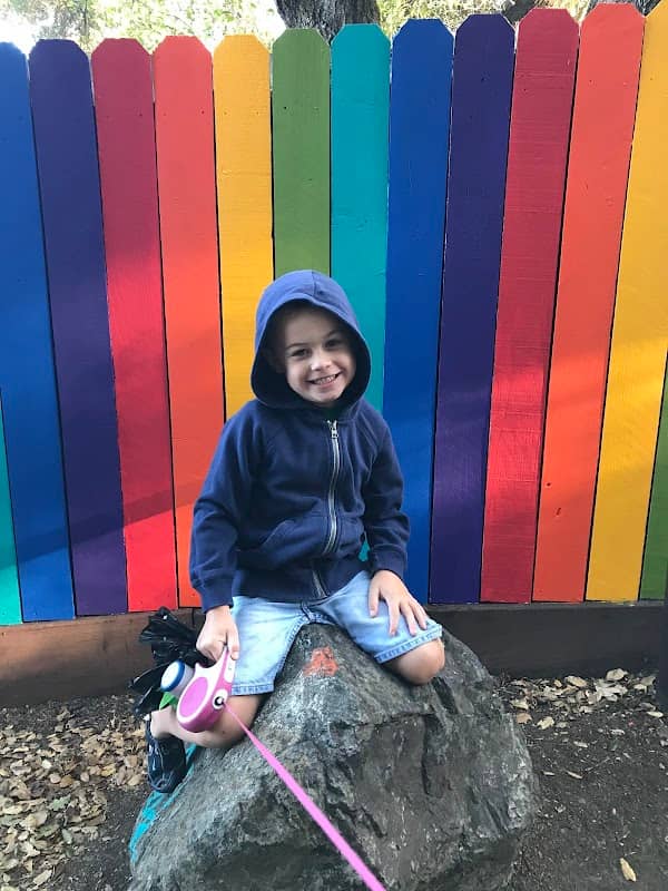 Rainbow Trail - Image 2