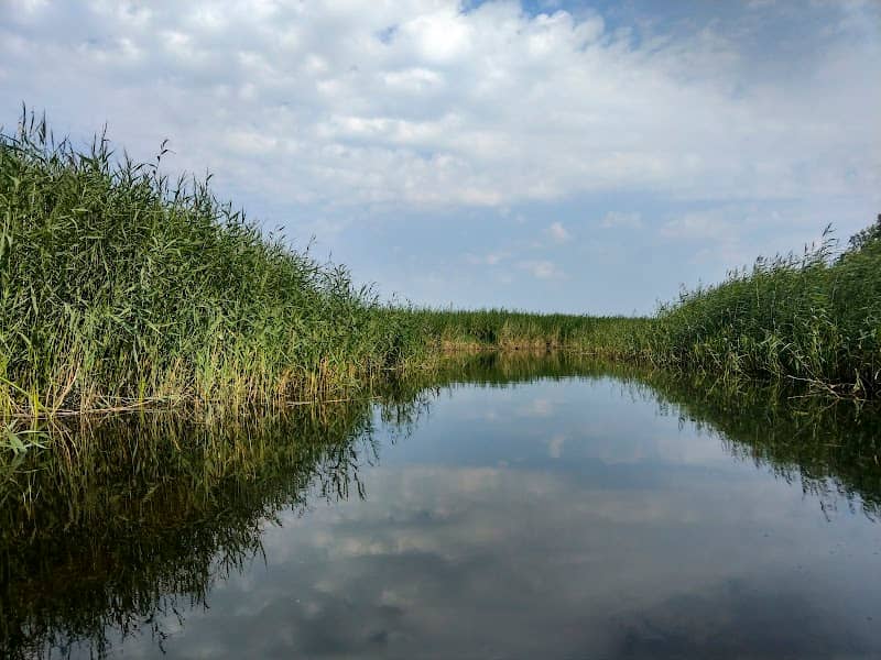 Rezerwat "Piaśnickie Łąki" - Image 2