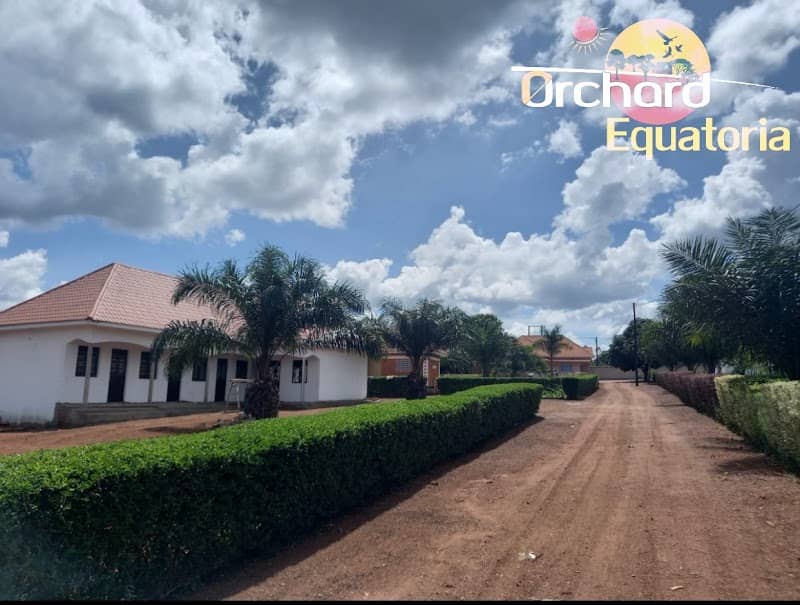 Orchard Equatoria Gardens Sembabule - Image 1
