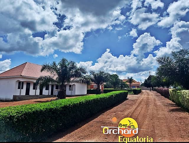 Orchard Equatoria Gardens Sembabule - Image 2