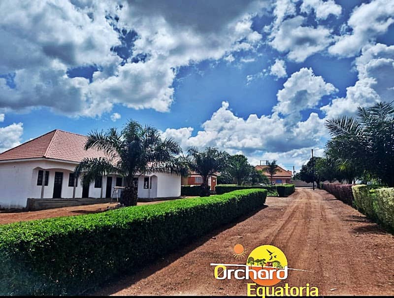 Orchard Equatoria Gardens Sembabule - Image 2