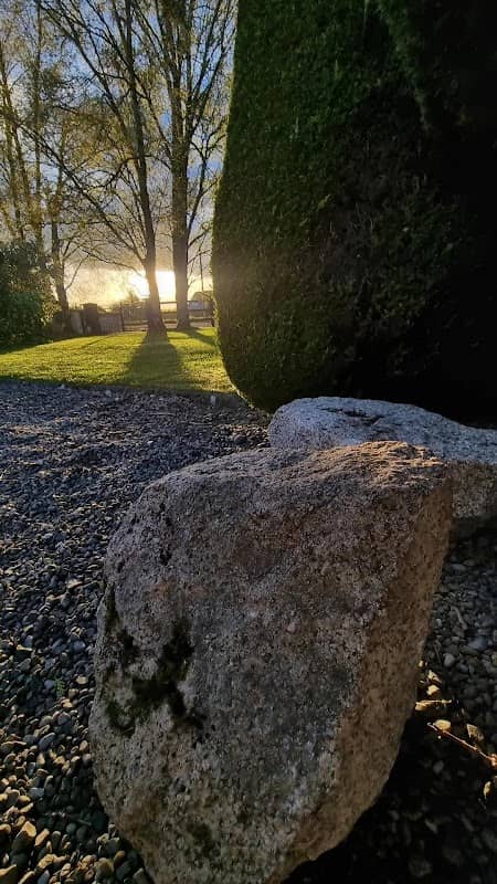Robins Grove - Image 2