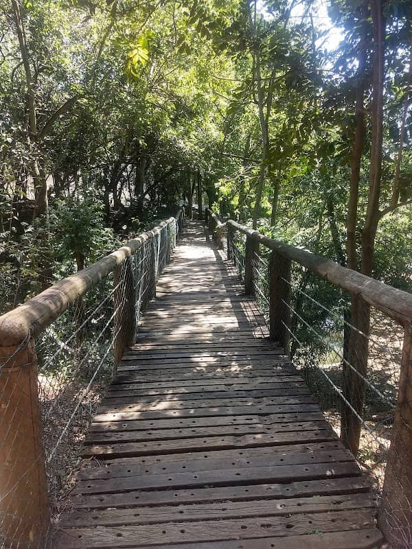Botanical Garden Eloy Chaves - Image 2