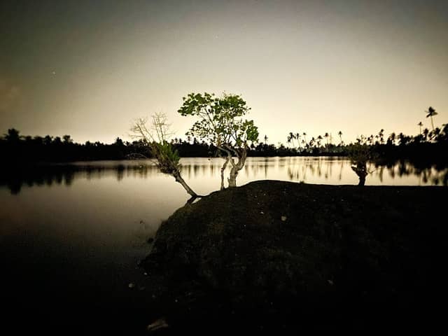 Kumbalangi Kavaru Spot - Image 1