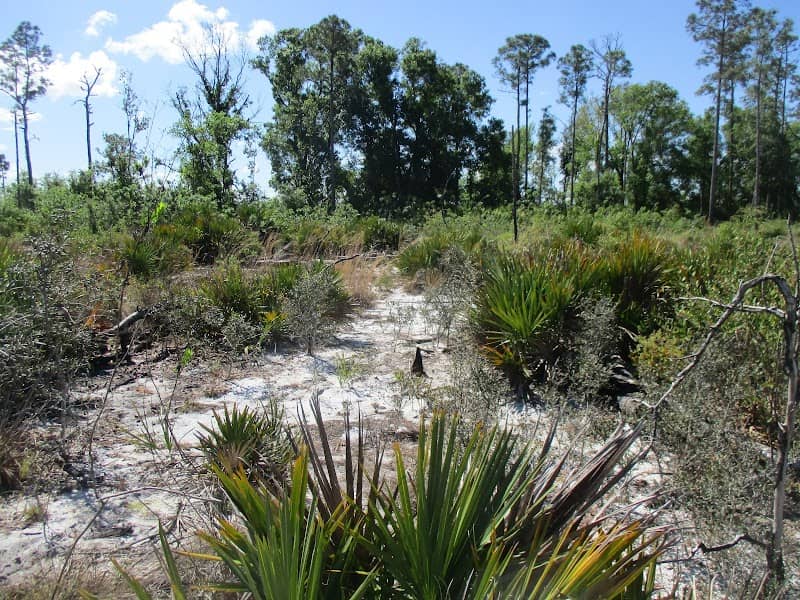 Scrub Trail - Image 1
