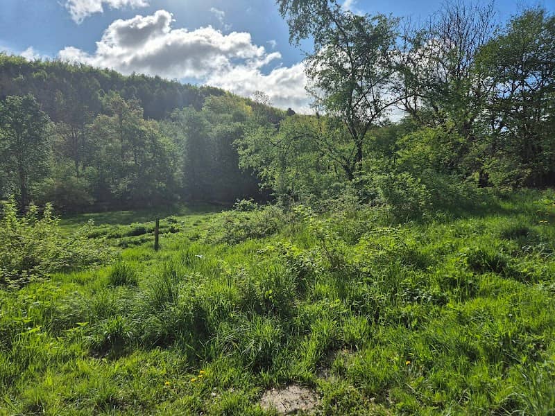 Lystrup Enge Shelterplads - Image 1