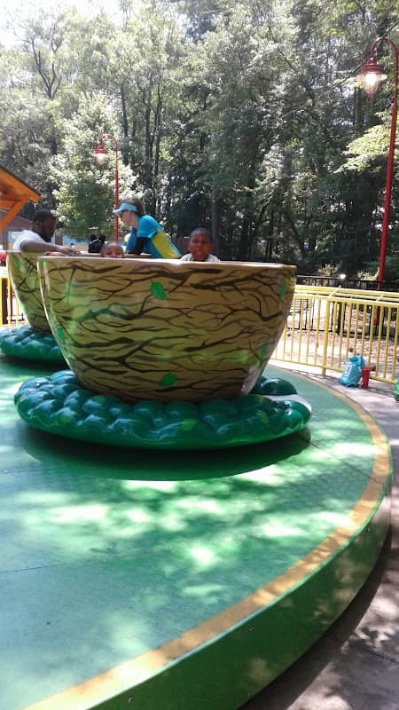 Woodstock Express - Image 2