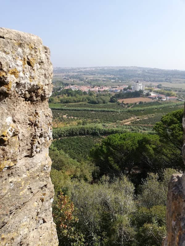 Gorgeous Lookout - Image 3