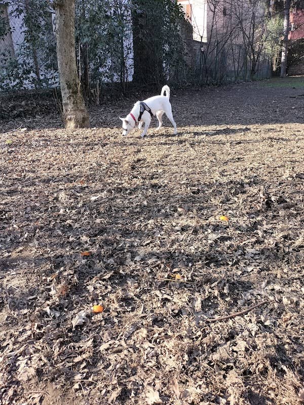 Parco Torri - Image 2