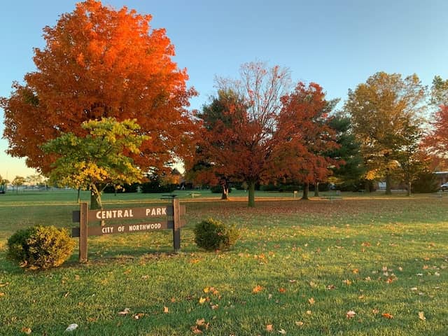 Central Park - Image 2