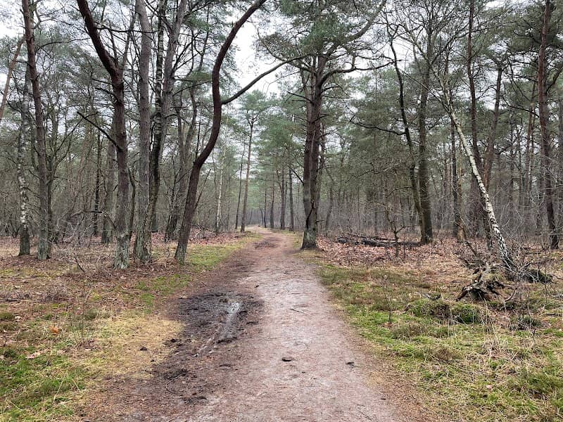 Laapersveld - Image 1