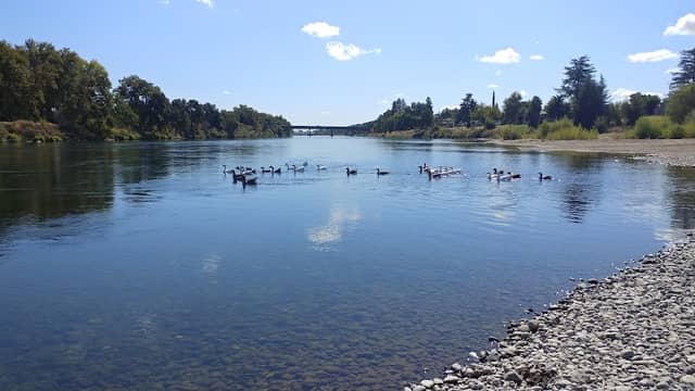 Red Bluff River Park - Image 2