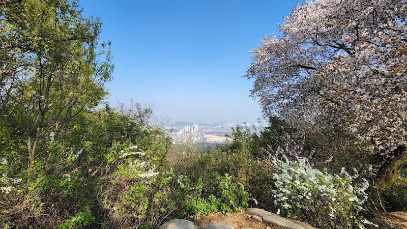 설봉산 정상 - Image 2