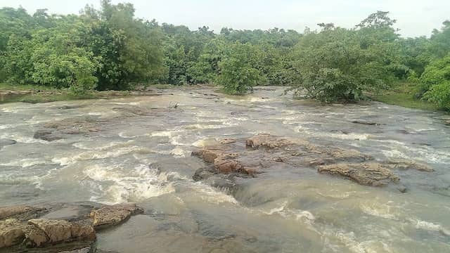 बाघमाड़ा, बिंद्रानवागांव धमतरी - Image 1