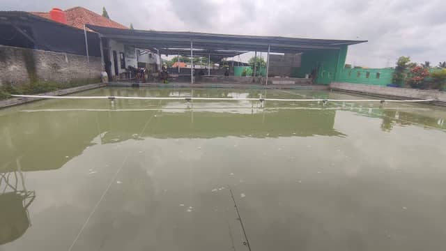 Pemancingan Wahyu Gempol - Image 1