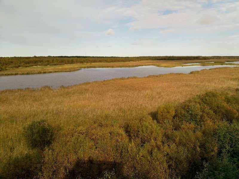 Kirkkosalmi Bird Watching Tower - Image 1