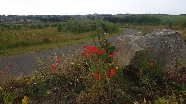Arcadia Park - Image 1