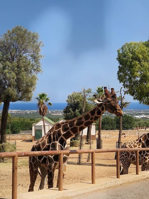 Zoosafari Fasano - Image 1