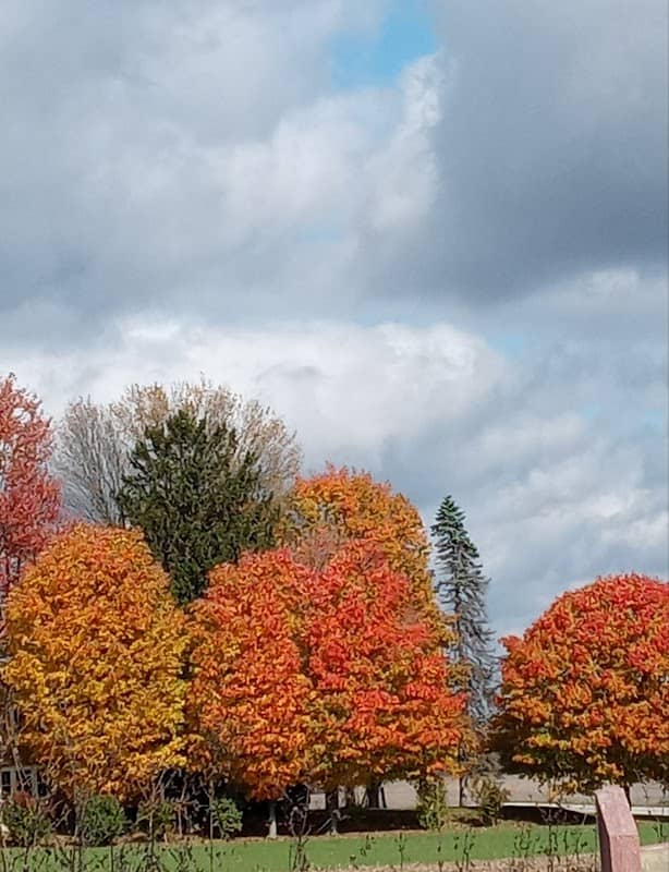 Cardinal Greenway Prairie Creek/CR 534 Trailhead - Image 1