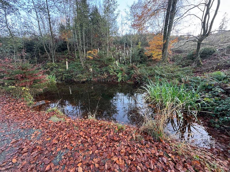 Erlenbachquelle - Image 2