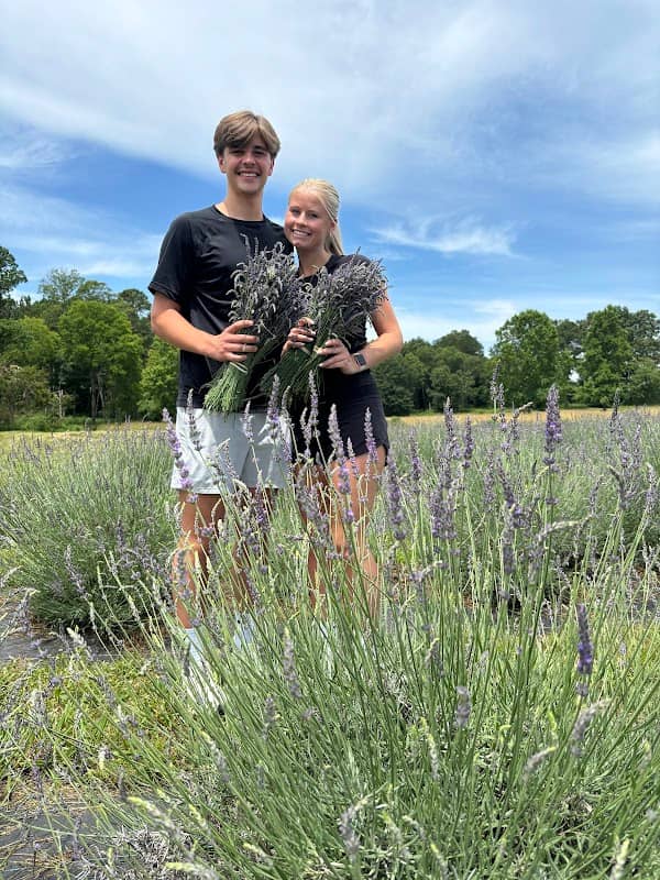 Shabo Lavender Farm - Image 3