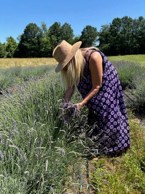 Shabo Lavender Farm - Image 2