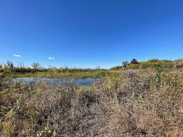 Haskell Wetlands - Image 3